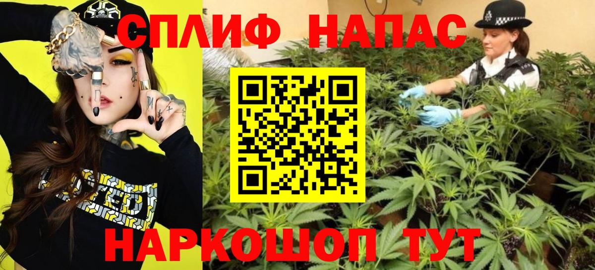 Конопля Amnesia Котовск